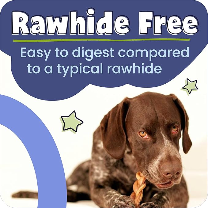 Pawstruck Natural 5-8" Bully Sticks for Dogs - Best Long-Lasting, Rawhide-Free, Low Odor Dental Chew Treat - Healthy Single Ingredient, 100% Real Beef - 8 oz Bag - Packaging May Vary