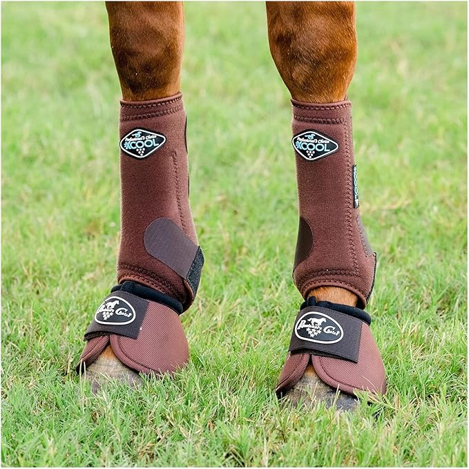 Professional's Choice 2XCOOL Sports Medicine Horse Boots | Protective & Breathable Design for Ultimate Comfort, Durability & Cooling in Active Horses | 2 Pack Large Chocolate