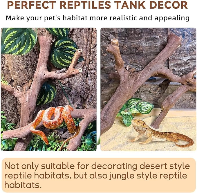 BNOSDM 2PCS Reptile Wood Branches Decor,Lizard Habitat Natural Wood Decoration,Snake Climbing Branch Accessories,Terrarium Tree Trunk Ornament for Bearded Dragon Gecko Frog Chameleon Spider