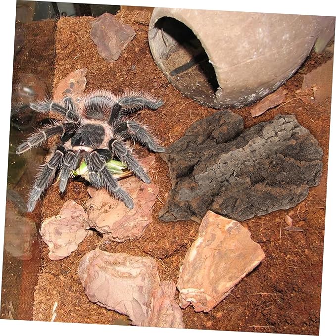 4pcs Cork Bark Reptile Decor Natural Tree Bark Climbing Platforms Reptiles Terrariums Background Cork Wood Habitat Tank Decoration for Snake Basking Lizard Hiding and Safe, Random Shape and Size