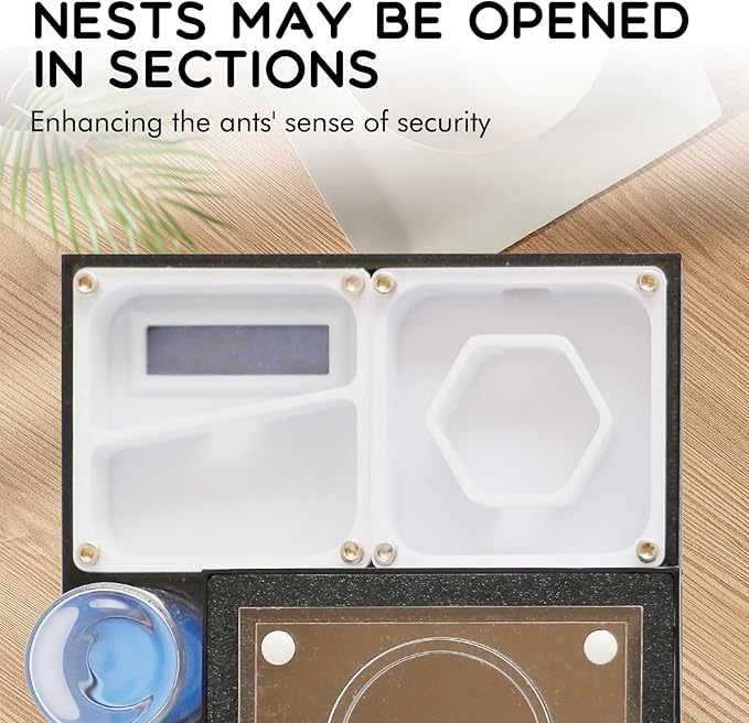 Ant Farm Nest - Educational Habitat - Black and White Acrylic Design with Built-in Water Tower and Clear Observation Area (M)