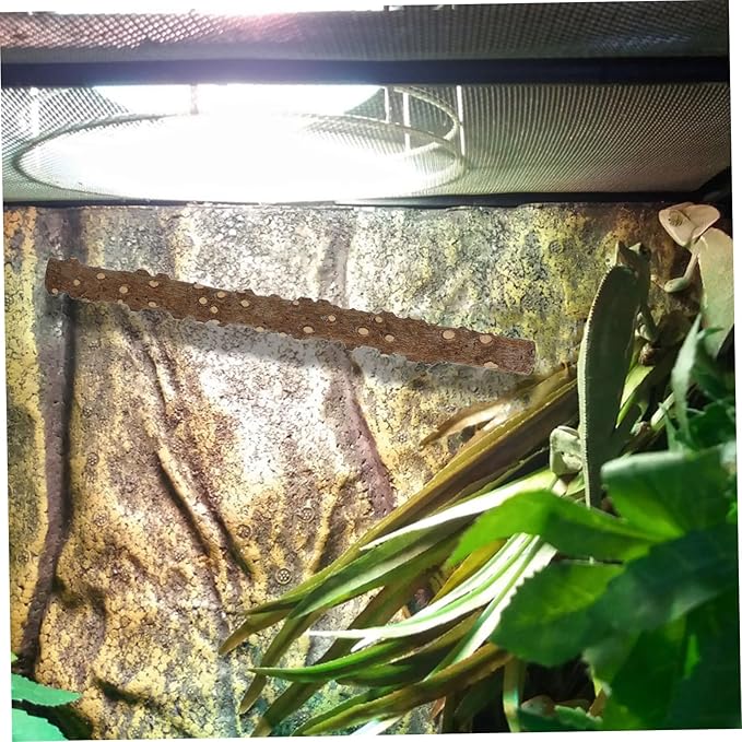LIOOBO 2pcs Reptile Climbing Stick Suction Cup Branch Toys for Lizards Snakes Natural Habitat Accessory for Bearded Dragon Terrarium Decor