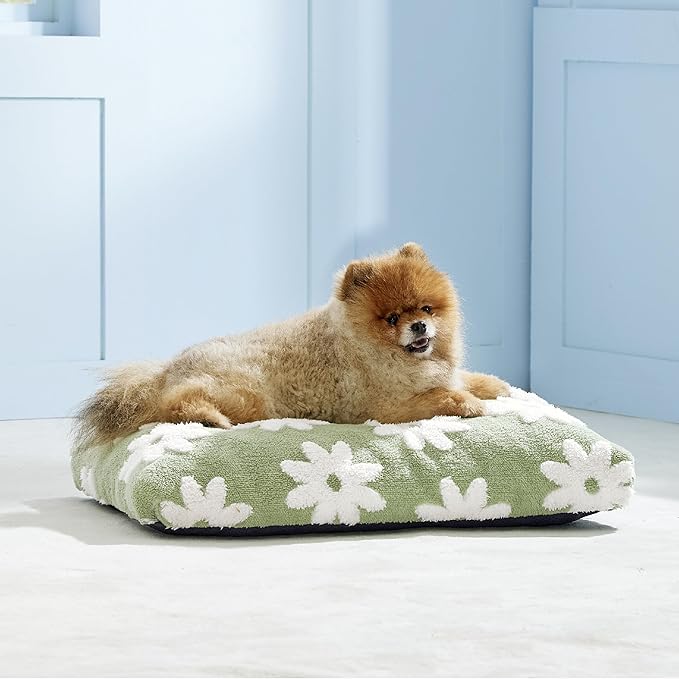 LE SURE Small Dog Beds-Thick Shredded Chopped Foam Pet Bed Gift Indoor with Removable Cover, Cute Modern Fuzzy Plush & Anti Slip Bottom, Green