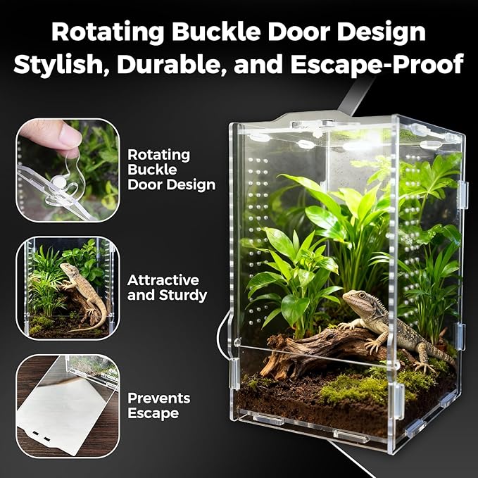 Acrylic Spider Enclosures, Insect Breeding Boxes, Insect Enclosures, Scorpion Habitats, Small Lizard and Frog Enclosures