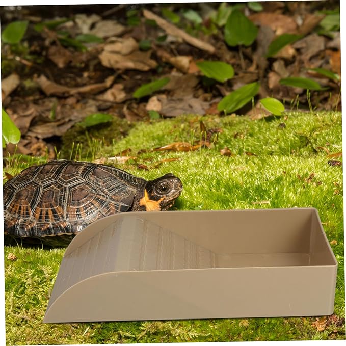 Tortoise Bathing Pool with Ramp Comfortable Soaking Dish for Tortoise Feeding Relaxation Versatile Indoor Outdoor Accessory for Healthy Diet Cleanliness