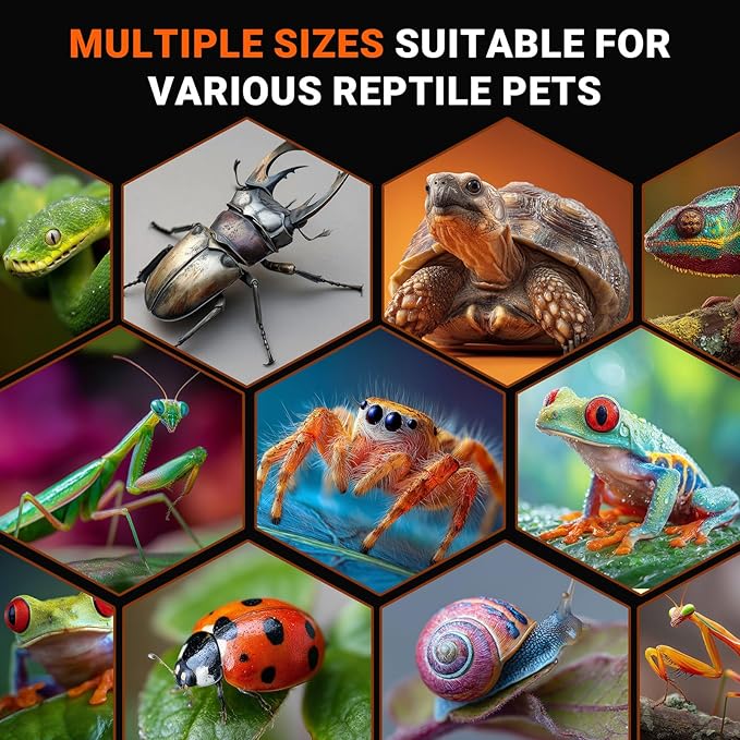 Jumping Spider Enclosure - Acrylic Terrarium Habitat for Spiders, Tarantulas, Snail, Mantis, Lizard, and Small Reptiles, Dual Magnetic Doors (6x6x9 inch)