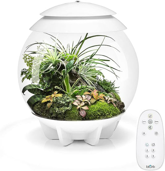 biOrb AIR 30, Fully Automated Terrarium for Arid, Temperate, or Tropical Plants, White