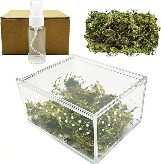 Reptile Breeding Box Small Acrylic Spider Terrarium Tarantula Enclosure Hermit Crab Tank with Terrarium Moss for Scorpion Insect Isopods Invertebrates