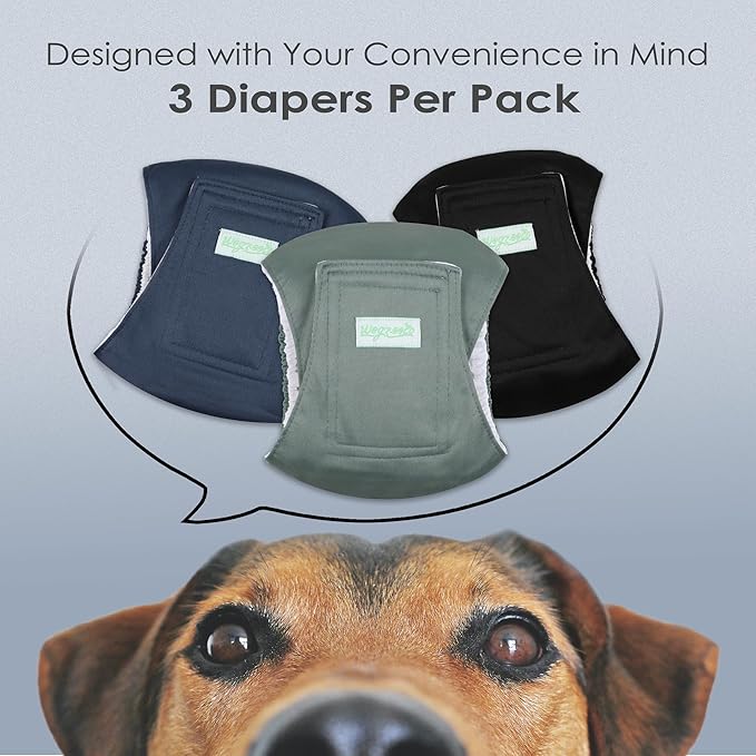 wegreeco Washable Male Dog Belly Band (Stylish Pattern)- Pack of 3 - Washable Male Dog Belly Wrap, Dog Diapers Male (Blue, Green, Black, XX-Large)