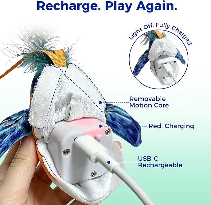 Interactive Flapping Bird Cat Toy for Indoor Cats, Auto Chirping Cat Toys, Touch Activated Rechargeable Self Play for All Breeds Cat Kicker Toys, with 5 Bird Covers and Catnip Pouches - Image 6