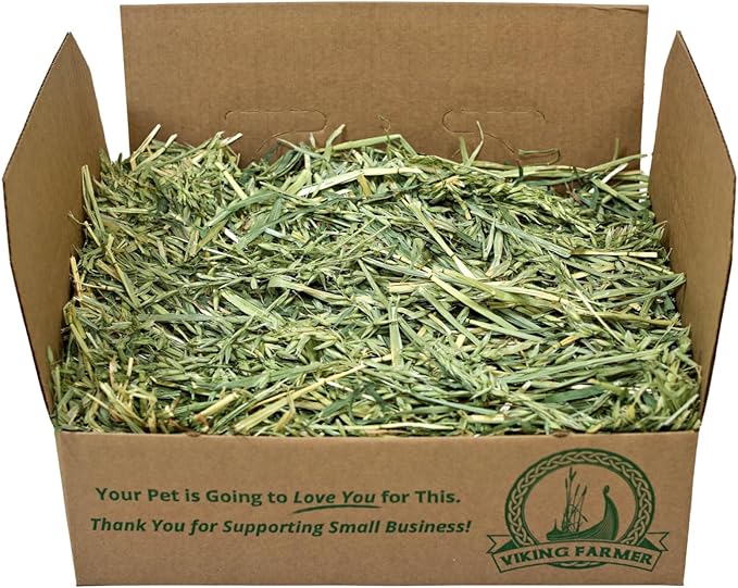 Oat Hay for Rabbits & Small Pets (7 lbs)
