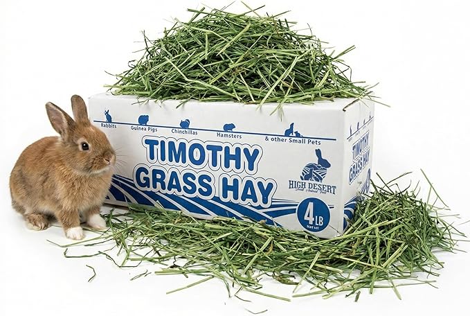 High Desert 2nd Cutting Timothy Hay for Rabbits, Guinea Pigs, Chinchillas and Small Pets, Soft Leafy for Daily Feeding and Digestive Health, Natural Rabbit Food and Guinea Pig Hay for Hay, 4 Lb Box