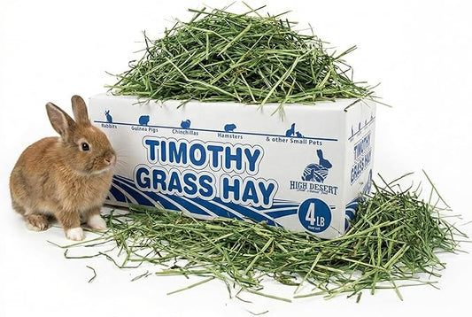 High Desert 2nd Cutting Timothy Hay for Rabbits, Guinea Pigs, Chinchillas and Small Pets, Soft Leafy for Daily Feeding and Digestive Health, Natural Rabbit Food and Guinea Pig Hay for Hay, 4 Lb Box