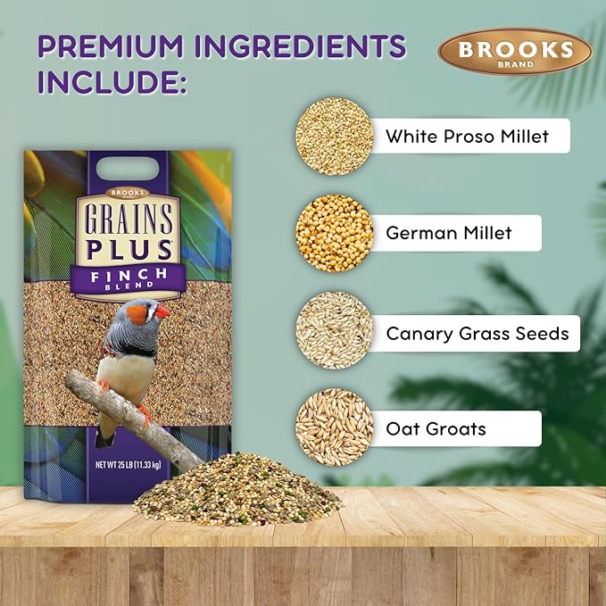 Grains Plus Finch Blend Bird Food, Nyjer Seeds, Finches Bird Seed Mix, Gold Finch Niger Seeds for Birds, Finches Food for Indoor Birds, 25 lbs