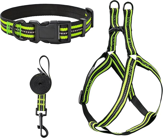 Mile High Life Night Reflective Double Adjustable Band Nylon Small Puppy Pet Dog Combo Collar Leash and Harness Set (Reflective Stripe Lime Green, Large (Pack of 3))