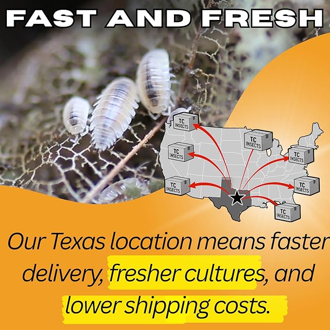 Bioactive Combo 50ct Dwarf White & 8oz Springtails Isopods Live Bioactive Clean Up Crew Bundle Reptile Amphibian Food Bundle