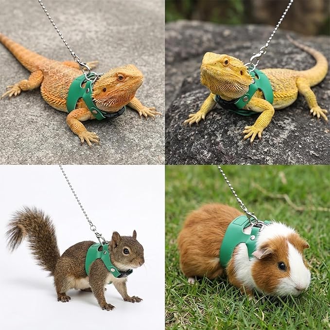3 Pack Bearded Dragon Leash and Harness Set 3 Size Adjustable Lizard Harness Bearded Dragon Outfits for Reptile Small Animals Training Walking, Easy to Put on and Take Off (Green)