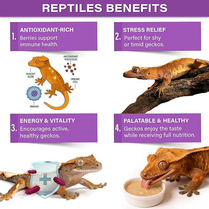 Gargeer 'Picky Geck' Wildberry Burst - Premium Crested Gecko Food | Antioxidant & Immune Support Formula | Real Fruit & Insect Protein | No Fillers - Only Premium Ingredients | 2oz | Made in USA.