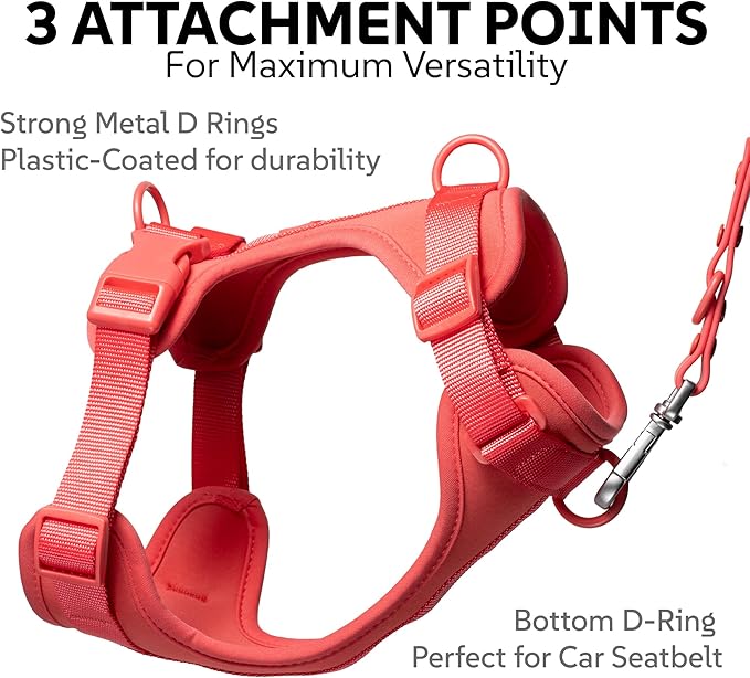 Dog Harness, Collar & Leash Set, Adjustable No Pull Harness with 3 Leash Clips, Waterproof Matching Collar & Leash, Breathable Comfort (Red Watermelon, Medium)
