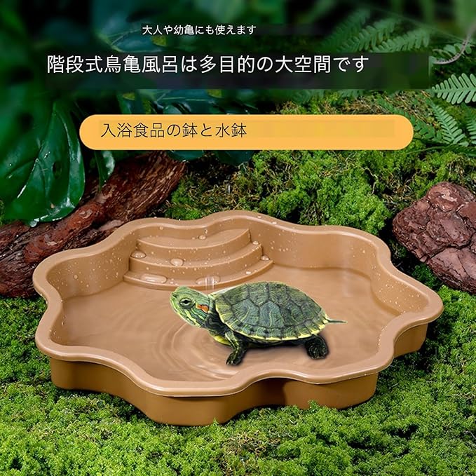 Turtle Water Enclosure | Turtle Pool | Turtle Swimming Pool | Turtle Habitat | Turtle Water Enclosure |Turtle Soaking Pool | Turtle Pool | Turtle Water Feature | Aquatic Turtle Pool | Turtle bask