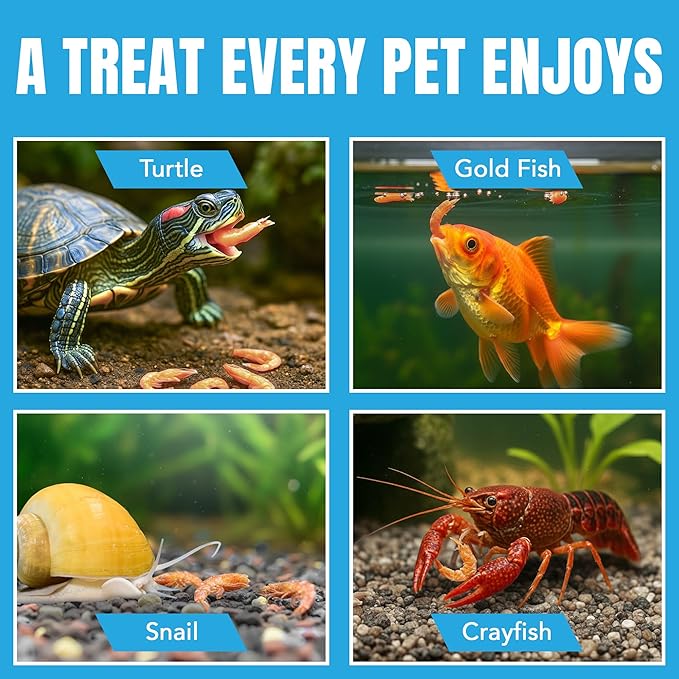 JOR Dried Shrimps for Turtle, Freeze-Dried High Protein, Low Fat Snack for Shell Growth & Energy, Easy-Chew Treat for Tropical Fish, Reptiles, Amphibians & Other Aquarium Pets, 1 oz