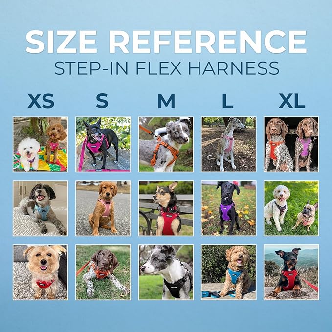 Best Pet Supplies Voyager Adjustable Step-in Flex Breathable Mesh Dog Harness for Small Medium Large Dogs Leash Set (Red), S