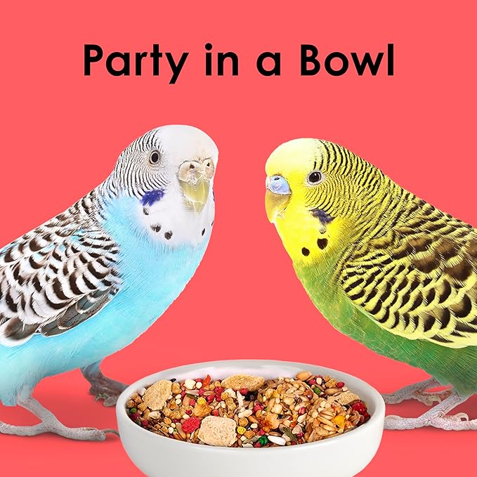 Kaytee Fiesta Parakeet Food,Nutritious and Fun Blend,Supports Skin,Feather,Digestion,Brain and Heart Health,2 pounds,(Pack of 2)