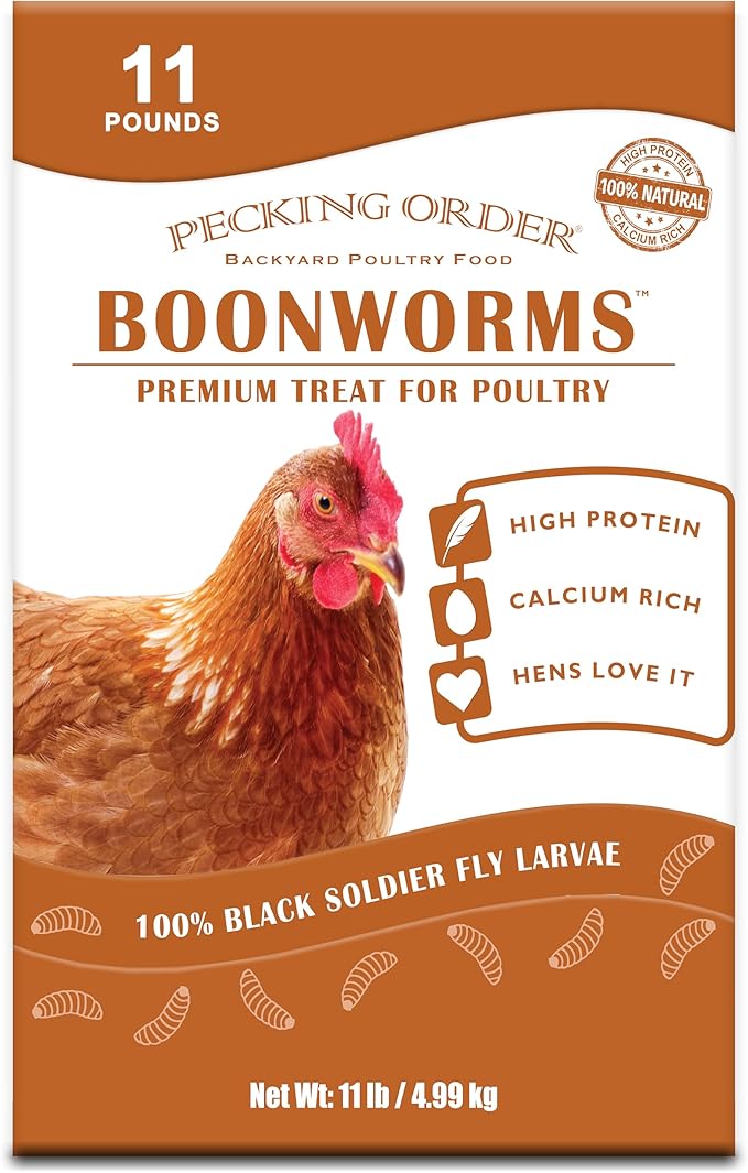 Boonworms Treat for Chickens are Protein and Calcium Rich Black Soldier Fly Larvae to Support Laying Hens (11 LB)