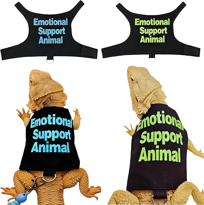 2 Pack Bearded Dragon Harness and Leash Set,Escape Proof Lizard Reptiles Harness Small Animal Traction Rope Training Walking Vest for Reptile Squirrel Rat-Blue&Green