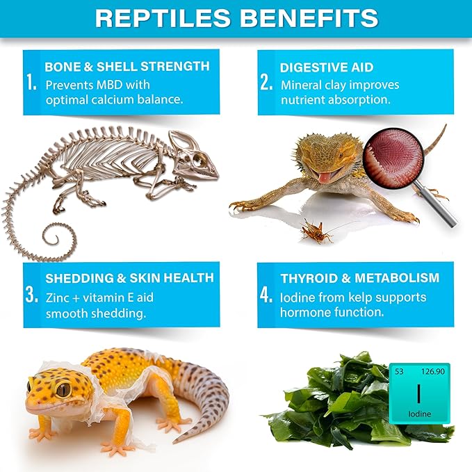Gargeer 'Complete Minerals Plus' Supplement for All Reptiles | Supports Strong Bones, Shell, Skin, Muscle Function, Metabolism & Clay Minerals Boost | Lizards, Turtles & Tortoises | 3oz | Made in USA