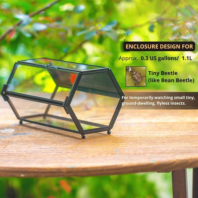 NCYP Small Glass Terrarium Enclosure with Mesh & Door for Tiny Beetle, Jumping Spiders, Hexagon Vented Glass Terrarium 6.8'' x 4.1'' x 3.6'', Indoor Decor, Black (Plants Not Include)