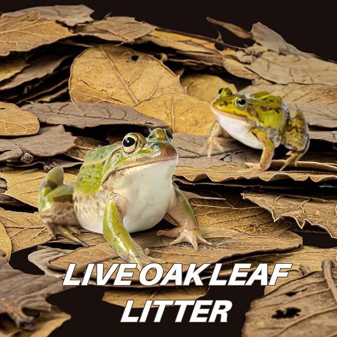 MAQIHAN Dry Oak Leaf Litter for Reptiles – 5 oz Whole Natural Oak Leaves Substrate for Isopods & Bioactive Terrarium Forest Floor Habitat, Premium Enclosure Bedding