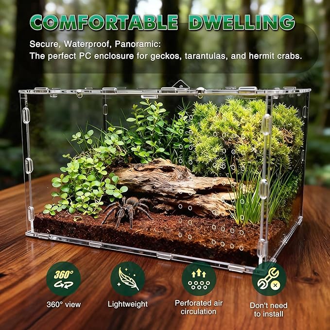 The Ultimate Small Animal Terrarium 7.9" x 5.9" x 11.8": A Versatile Reptile Serving as a Complete Starter Tank for a Wide Range of Species Including Lizards, Geckos, Frogs, Crabs, and Spiders