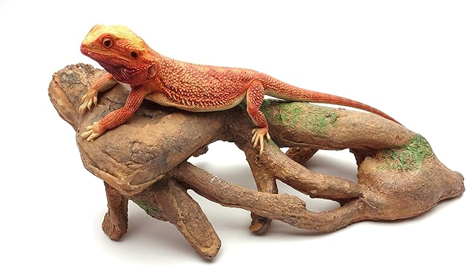 CAROLINACUSTOMCAGES Gnarled Large Root, Brown, Reptile Habitat Accessory