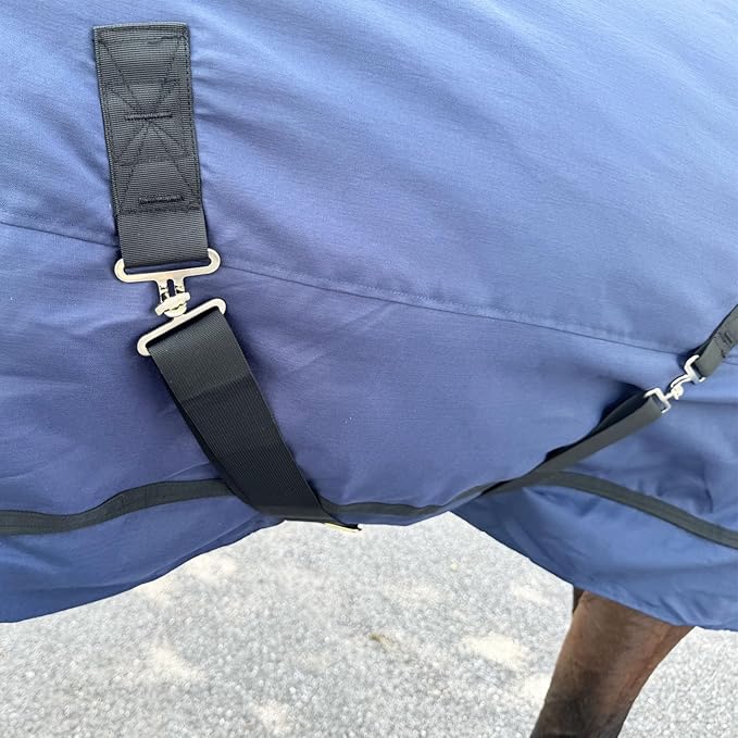 Horse Care Blanket, Turnout Blanket for Horses with Detachable Neck Cover, 1200 D 220g Filling Thicken Medium Weight Horses Rug, Waterproof Blanket for Horse (US 81 in(EU 155cm))