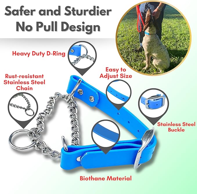 Martingale Collar for Dogs, Biothane, Stainless Steel Hardware, No Pull, Made in The USA, Professional Grade, Extra Large, Light Blue