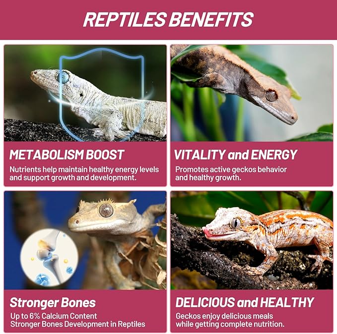 Crested Gecko Food, Fruit Mix Fig and Insects Complete Diet Gecko Food 2oz