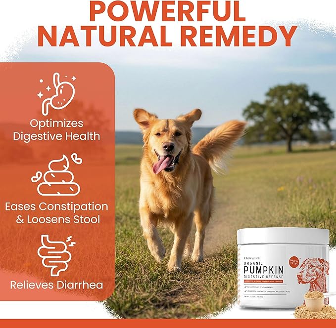 Organic Pumpkin Powder for Dogs - 16 oz of Powder for Dog Digestion with 5cc Scoop - Made with Pumpkin, Apple, and Carrots - Made in The USA