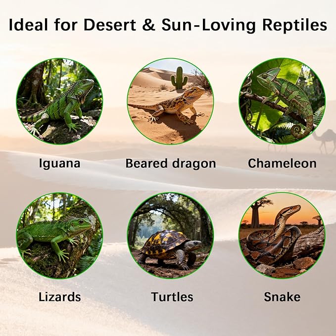 T8 UVB Reptile Light Fixture HO UVB Bulb Lighting Combo Kit, 10.0 UVB Light for Reptiles Terrarium Hood UVA UVB Desert Lamp for Bearded Dragon Turtle Tank (T8 20W 24Inch)
