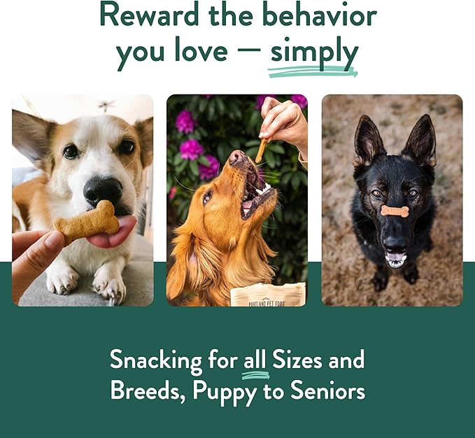 Portland Pet Food Company Natural Dog Treats Variety Pumpkin Gingerbread & Bacon Dog Biscuits - Grain-Free, Human-Grade Healthy Training & Snacks - Puppy, Small, Large Breed - Made in the USA - 3 Pack