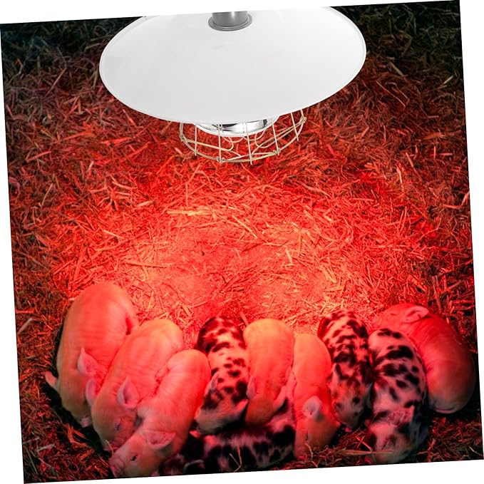 Heating Lamp Poultry Heat Lamp with and Materials for Pets Reptiles and Breeding Safe and Convenient Use