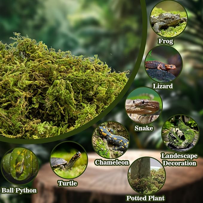 RAINFLOW Sphagnum Moss for Reptiles - 7 Oz Reptile Moss Peat Terrarium Moss Bedding Reptiles Lizard Substrate for Reptile Tank, Snake, Leopard Gecko, Ball Python, Crested Gecko, Turtle, Frog, Hamster