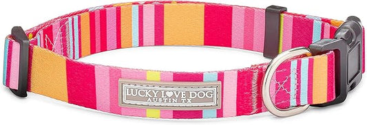 Lucky Love Dog - Adjustable Dog Collar with Easy Click Buckle for Large Ones, Durable, & Comfortable for Male & Female Dogs, Pet Collar for Puppies & Adult Dogs - Molly, XL