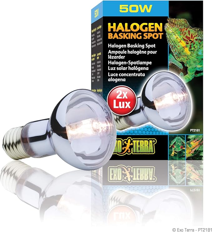 Exo Terra Sun Glo Halogen Basking Spot Lamp – 50W Reptile Light Bulb, Broad Spectrum Daylight, Enhances Coloration, Promotes Health, PT2181
