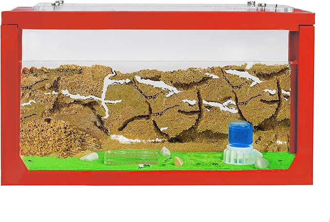 Anthouse.ES - 3D Aquarium-Style Natural Ant Farm - Sand Ant Farm - Complete Kit with Sand and Accessories - Starter Model 20x10x10 cm - Red Color