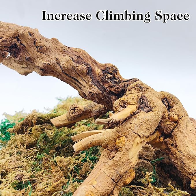 VCEPJH 2 Pack Reptile Wood Branches, Snake Climbing Branch Natural Bearded Dragon Log Tank Accessories Tree Trunk for Chameleon Gecko Snake Frog Spider