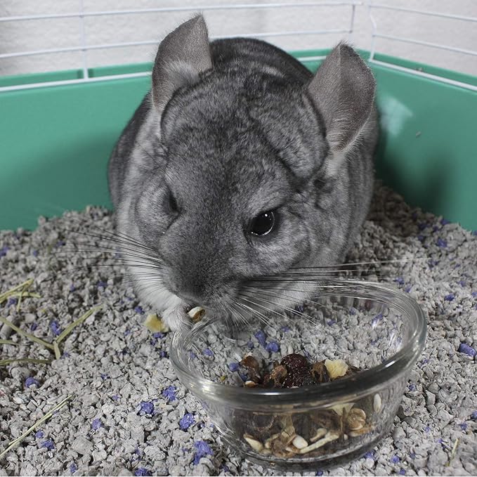 Vitakraft Cocktail Mixed Fruit Chinchilla Treat, 4.5 oz