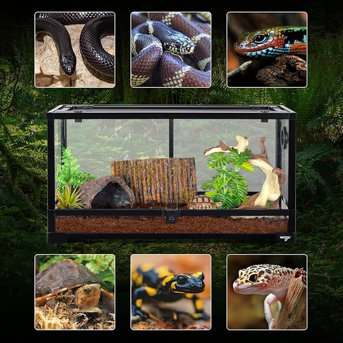 WACOOL TERRA Large Reptile Tank 25 Gallon, 360°Full Vision Glass Reptile Terrarium with Top Mesh Lid for Beaded Dragon Lizard Gecko Snake Hermit Crab Use, 30"(W) X 12"(D) X 16"（H）