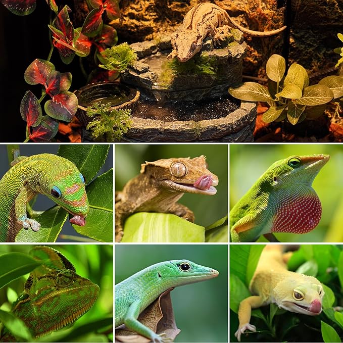 Reptile Water Fountain, Reptile Terrarium Waterfall Drinking Fountain with Food Dish for Bearded Dragon Lizard Leopard Crested Gecko Chameleon Frog