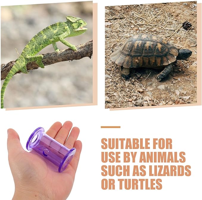 4pcs Bearded Dragon Enrichment Toys, Reptile Feeding Accessories, Transparent Plastic Reptile Rolling Interactive Feeding Toy for Leopard Gecko, Crested Gecko